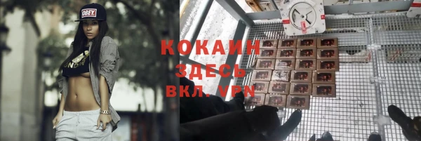 гидра Белокуриха