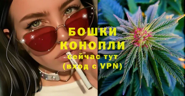 гидра Белокуриха