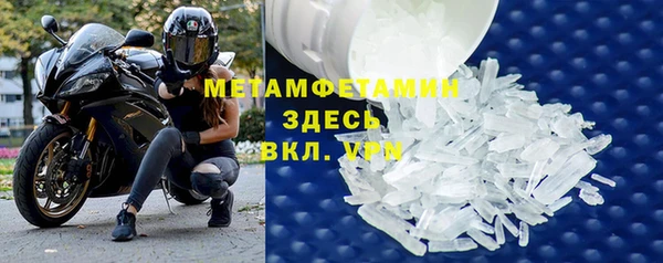 гидра Белокуриха